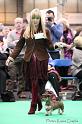 Crufts2011_2 1609